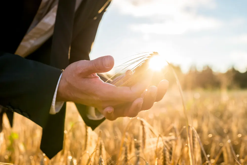 Advogado do Agronegócio: dicas para escolher o melhor